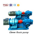 Electric roots vacuum pump